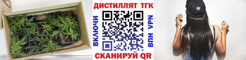 Дистиллят ТГК вейп Рыбное