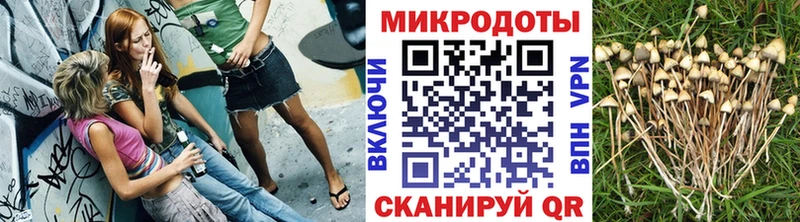 Псилоцибиновые грибы MAGIC MUSHROOMS  Рыбное 